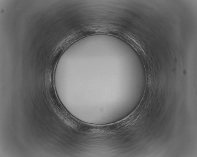 X0000087700733200705040850