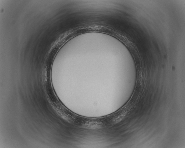 X0000087700734200705040850