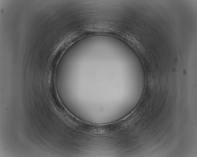 X0000087700735200705040850
