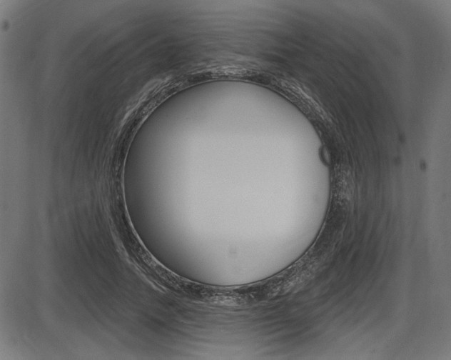 X0000087700738200705040850