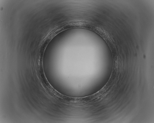 X0000087700739200705040851