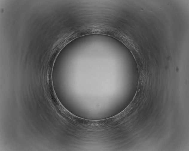 X0000087700740200705040851
