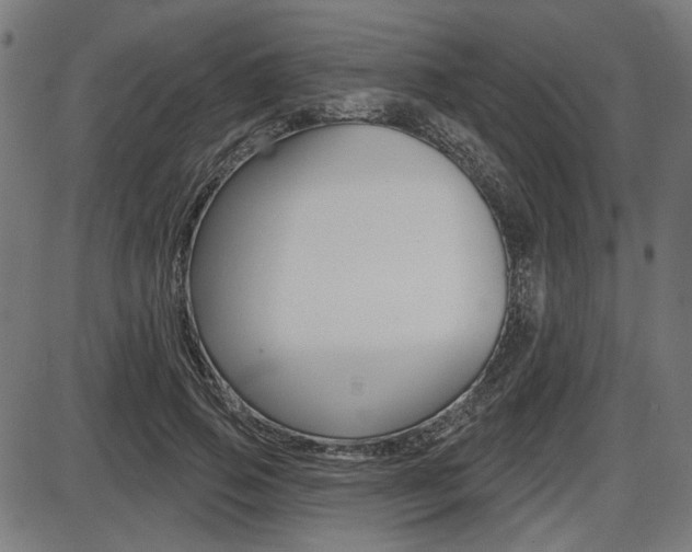 X0000087700741200705040851