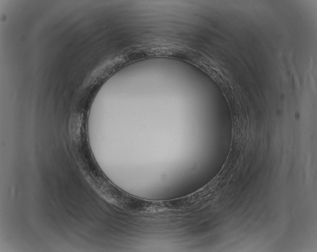 X0000087700742200705040851