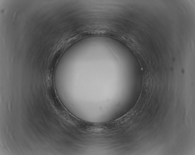 X0000087700743200705040851