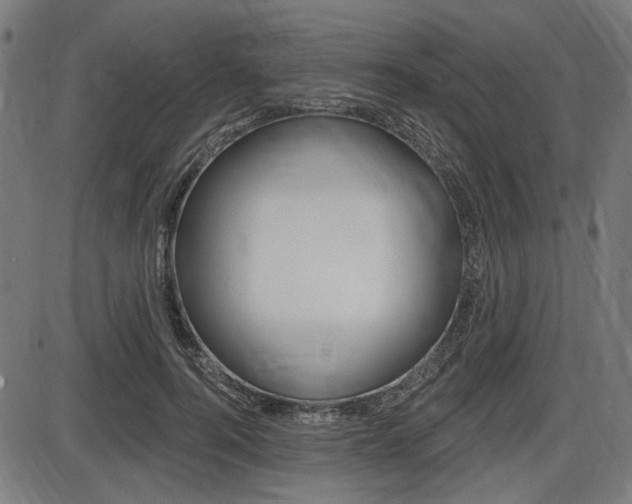 X0000087700744200705040851