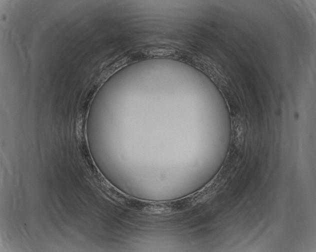 X0000087700745200705040851
