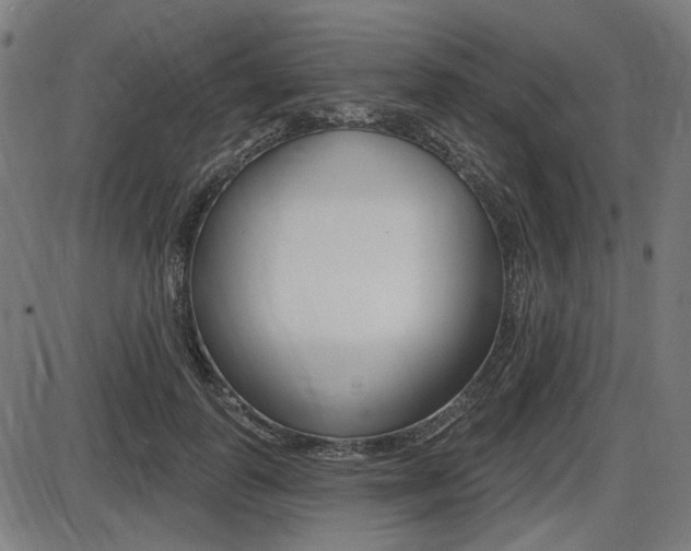 X0000087700747200705040851