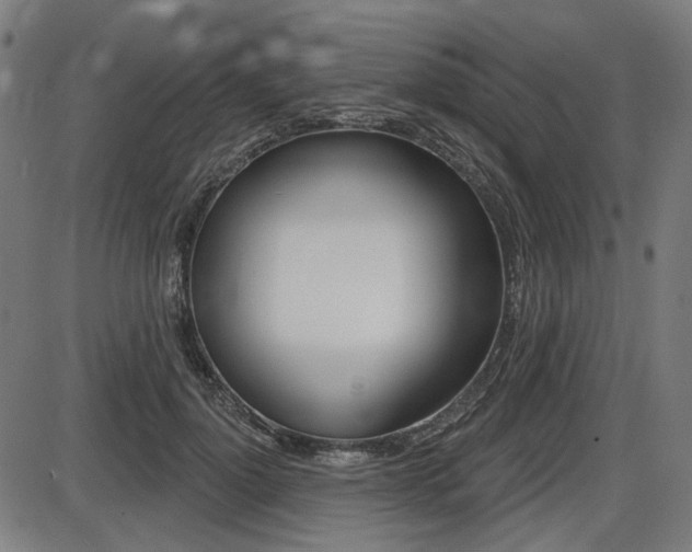 X0000087700748200705040851