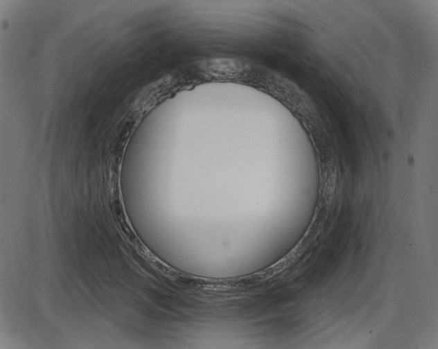X0000087700749200705040851