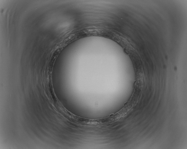 X0000087700751200705040851