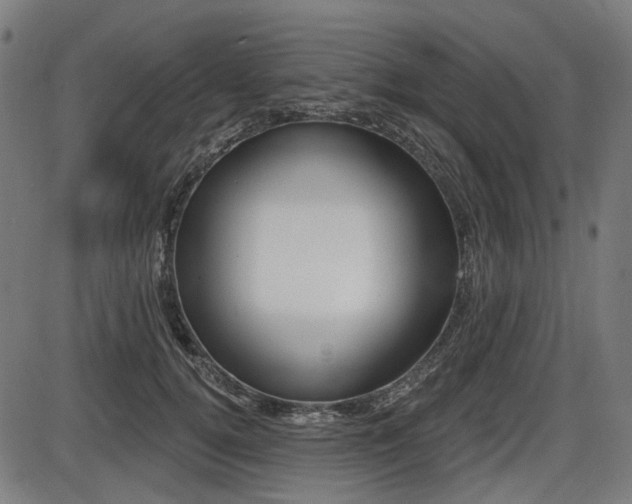 X0000087700752200705040851