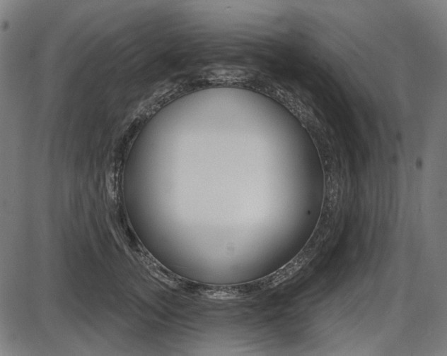 X0000087700755200705040851