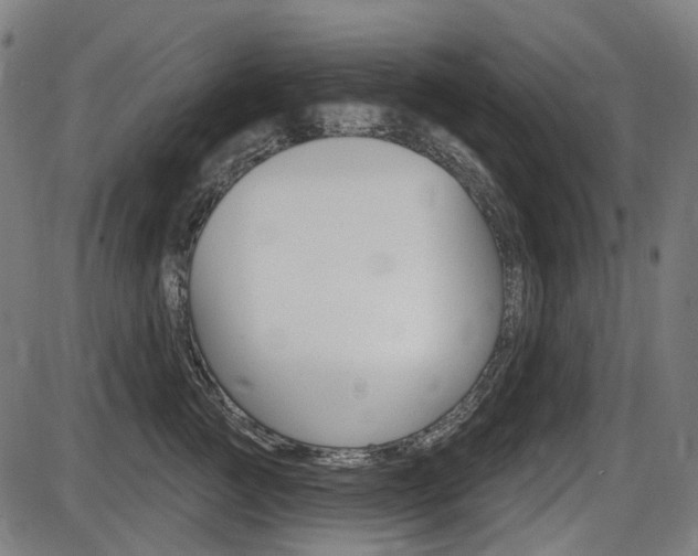 X0000087700761200705040851