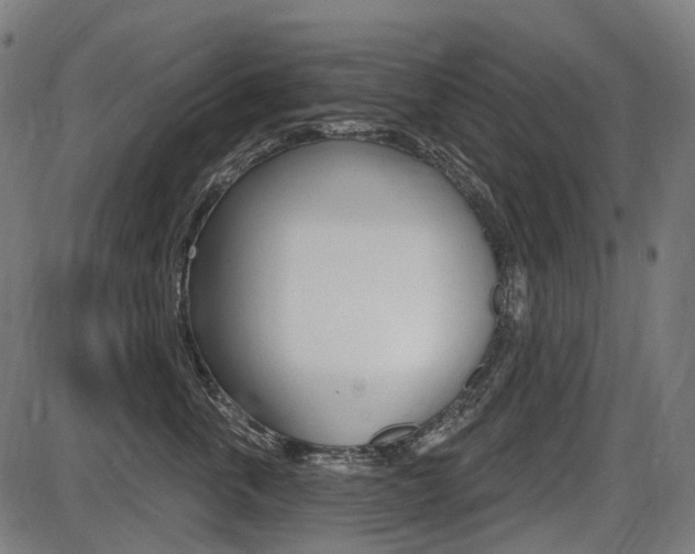 X0000087700763200705040851
