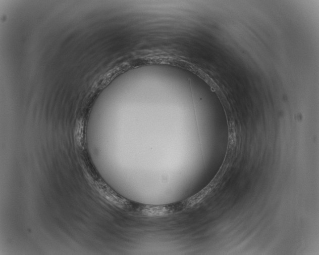 X0000087700767200705040851