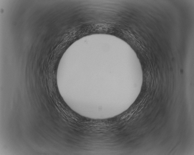 X0000087700769200705040850