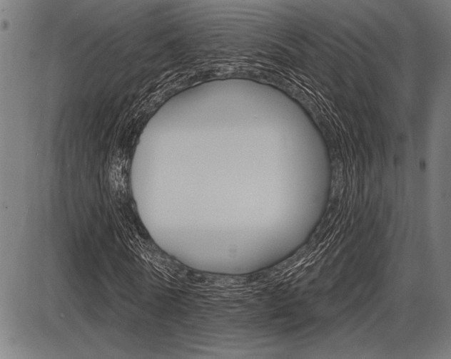X0000087700770200705040850