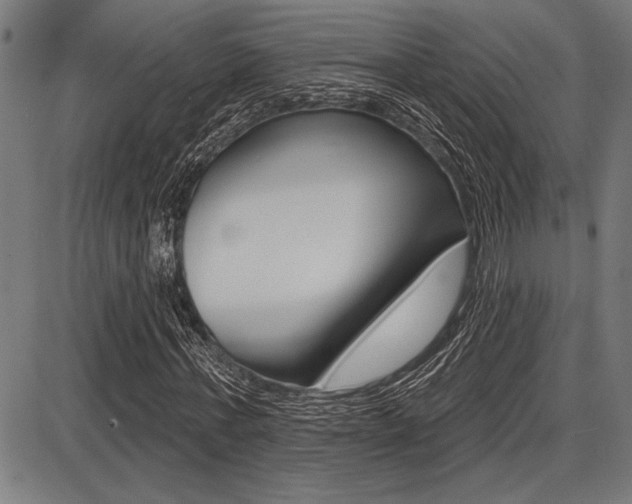 X0000087700771200705040850
