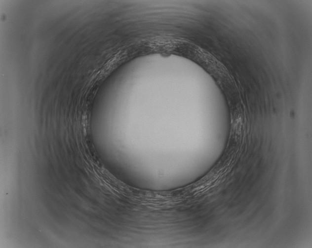 X0000087700772200705040850