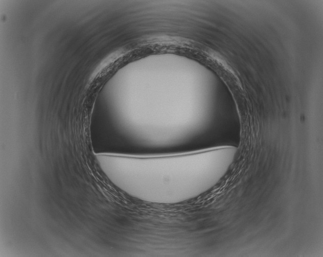 X0000087700775200705040850