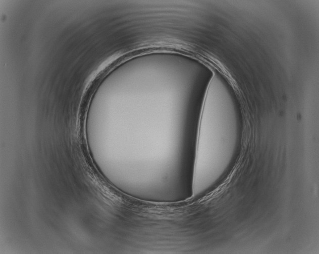 X0000087700780200705040850