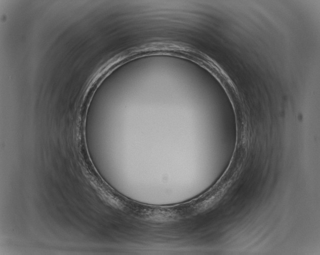 X0000087700786200705040850
