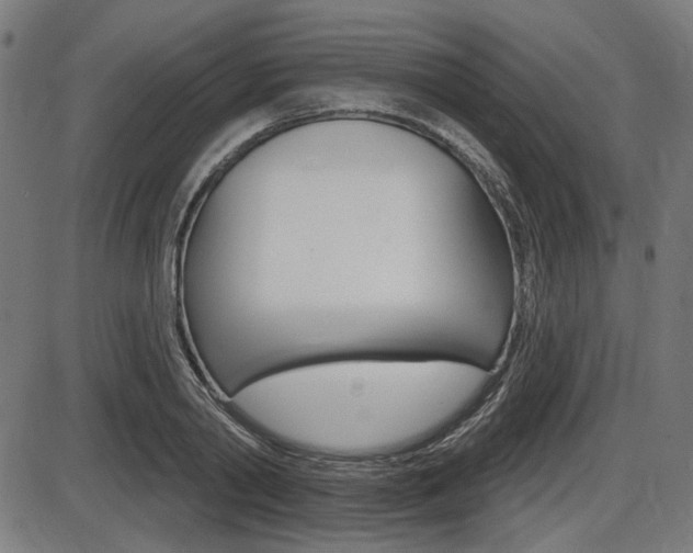 X0000087700790200705040850