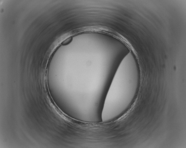 X0000087700802200705040850