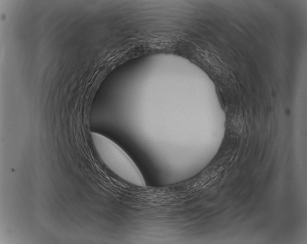 X0000087700817200705040849