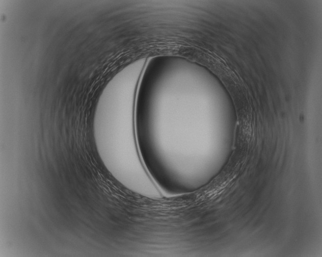 X0000087700818200705040849