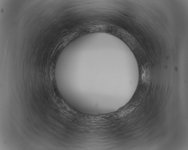 X0000087700819200705040849