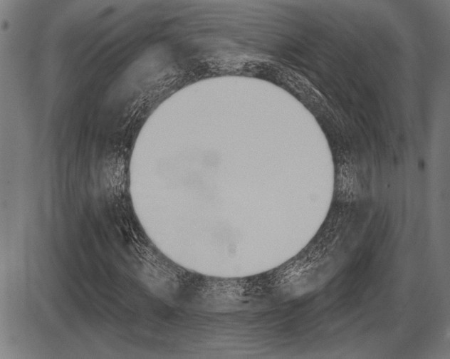 X0000087700820200705040849