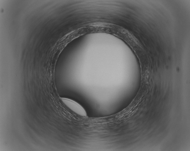 X0000087700821200705040849