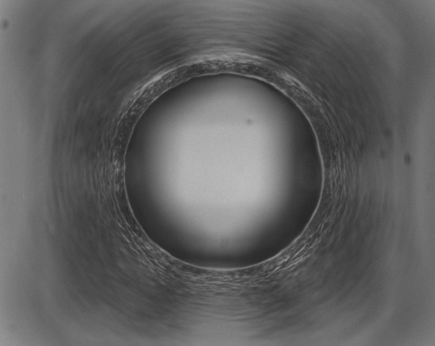 X0000087700822200705040849