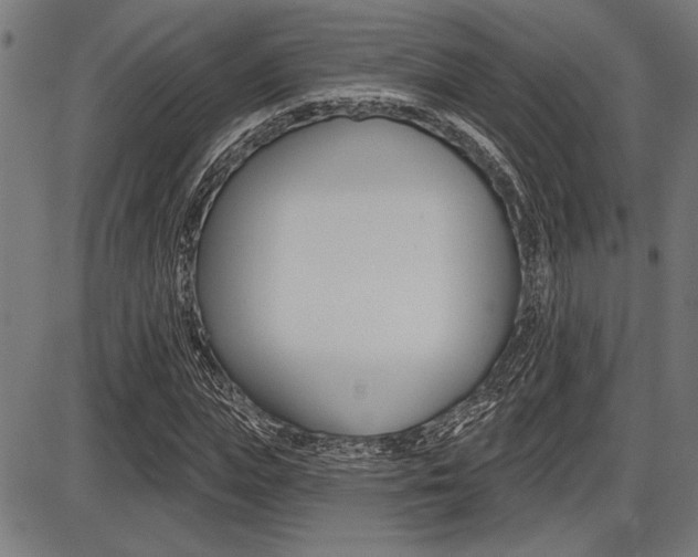 X0000087700823200705040849