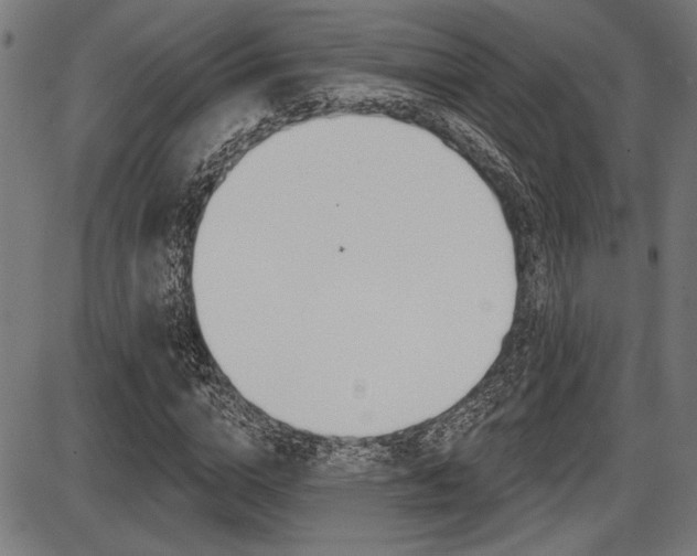 X0000087700824200705040849
