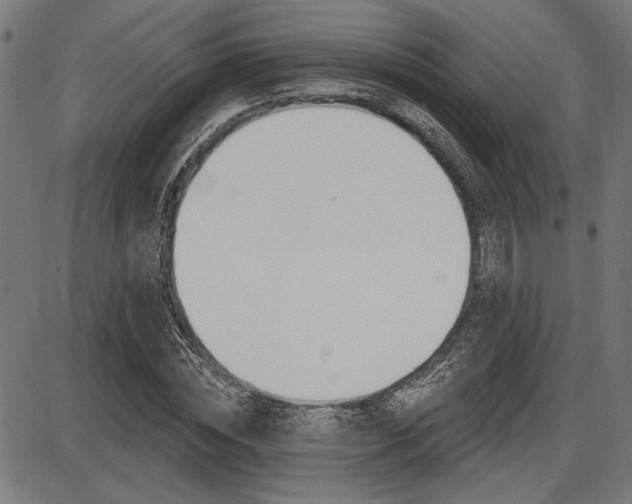 X0000087700828200705040849