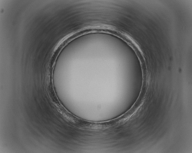 X0000087700829200705040849