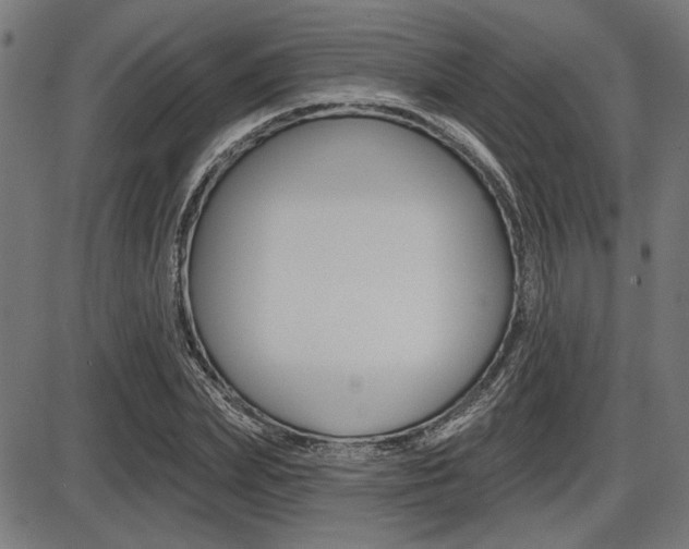X0000087700831200705040849