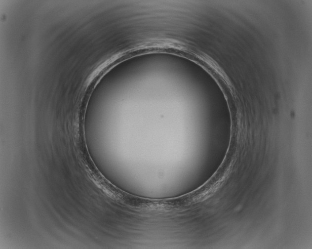 X0000087700834200705040849