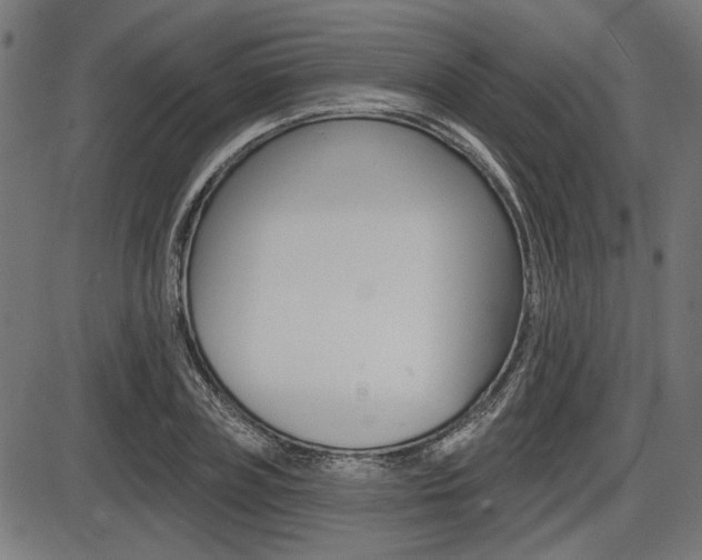 X0000087700835200705040849