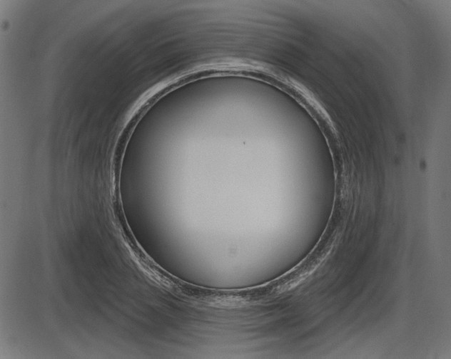 X0000087700837200705040849