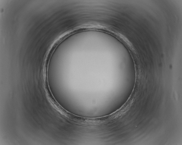 X0000087700840200705040849
