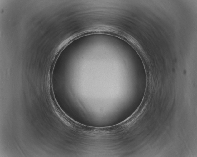 X0000087700842200705040849