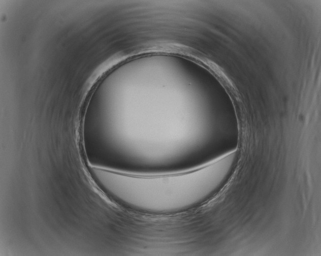 X0000087700846200705040849