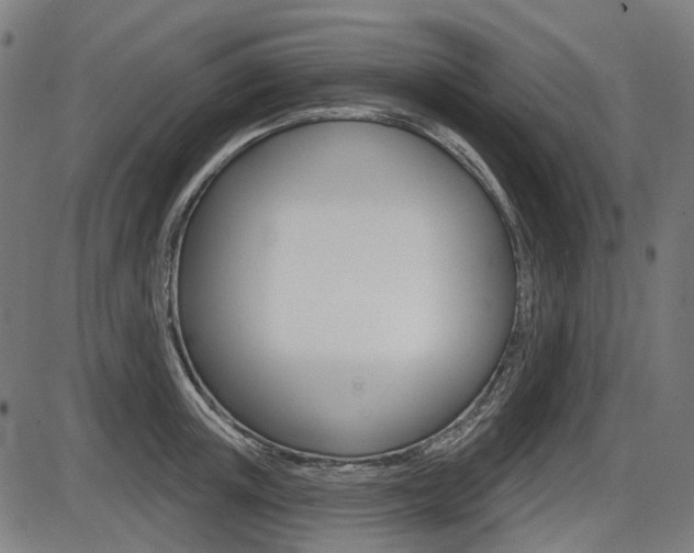 X0000087700851200705040849