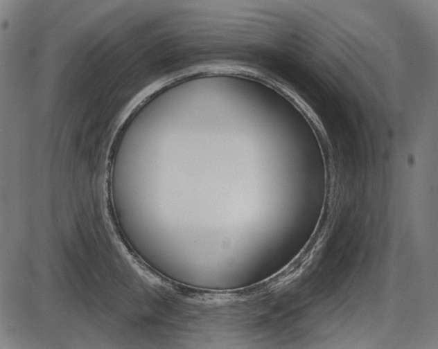 X0000087700853200705040849