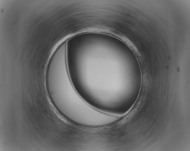 X0000087700854200705040849