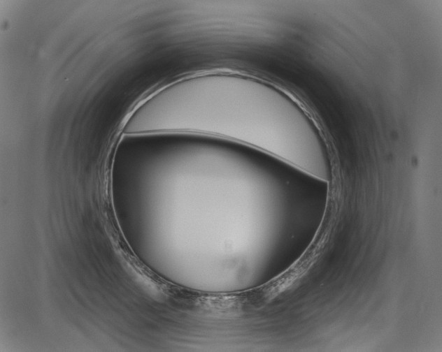 X0000087700858200705040849